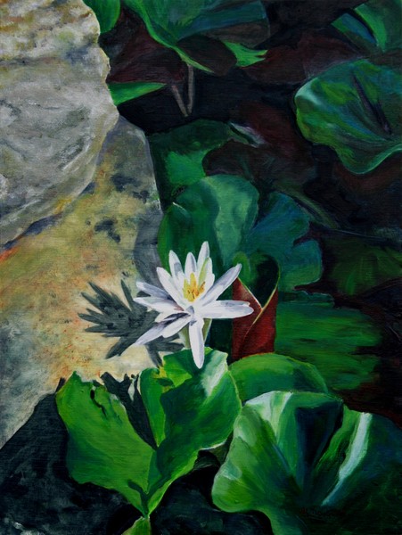 Muriel's Lily