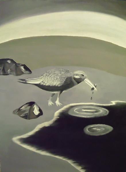 Bird Fishing