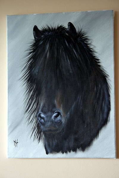 Harry Potter (Horse) Portrait