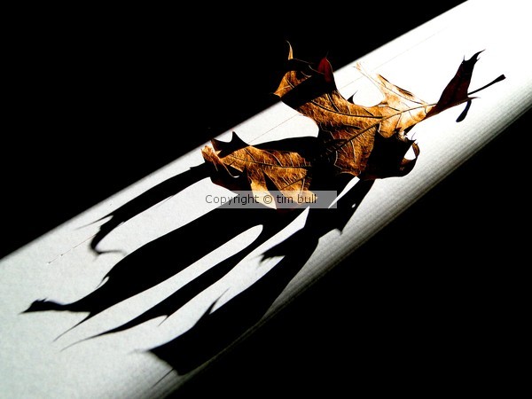 LeafLight