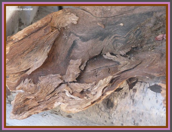 patterns-wood