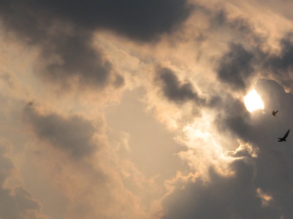 above... the  opening..
