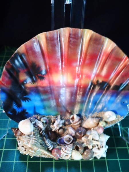 If I could be a shell....I want to be here!
