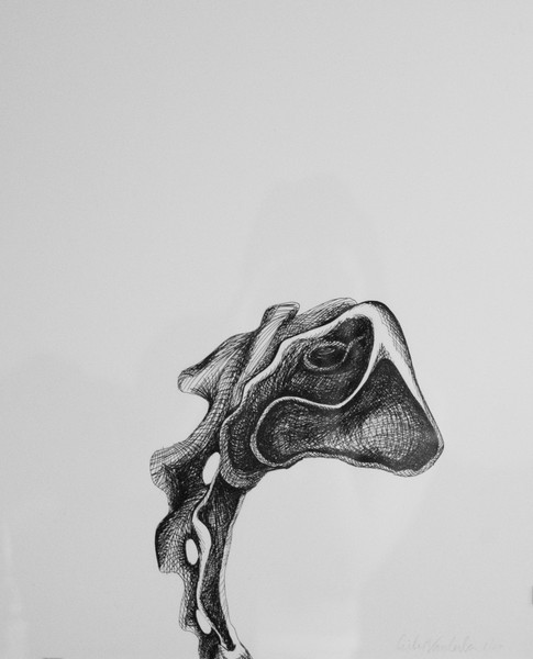 Bones 8
