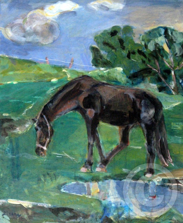 The horse_Vaals NL