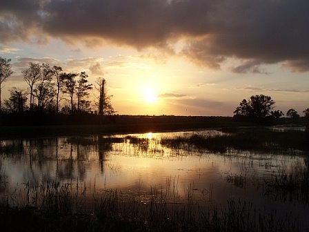 Sunset in the Everglades
