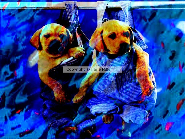sooooooooooooo cute 2
