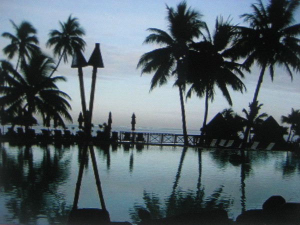 Paradise