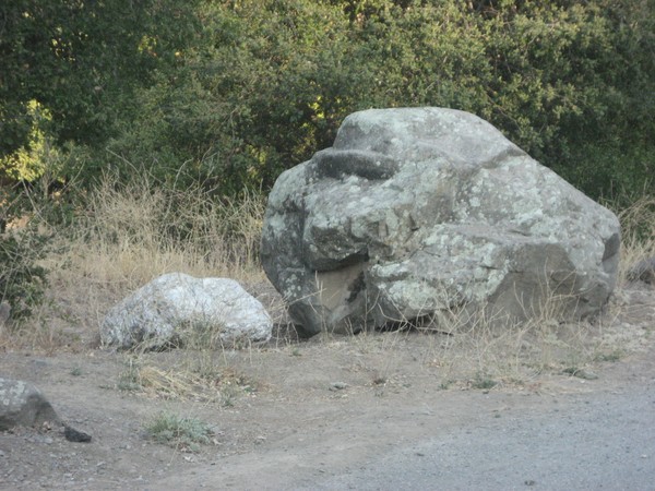 Dog rock