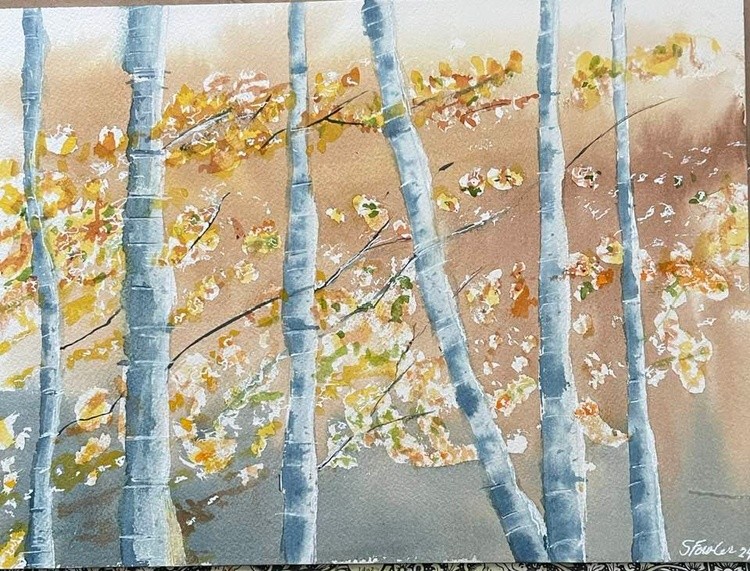 birchtree's