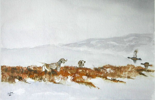 Gun dogs at work