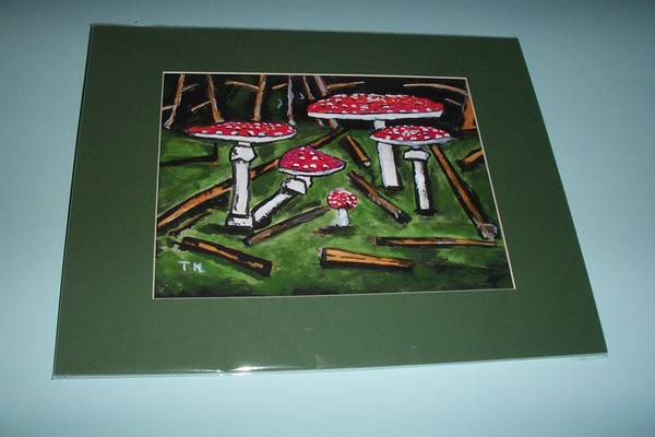 amanita mushrooms