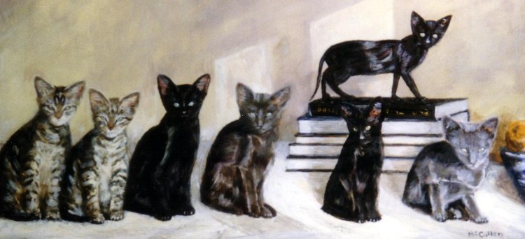 7 kittens and a PhD thesis