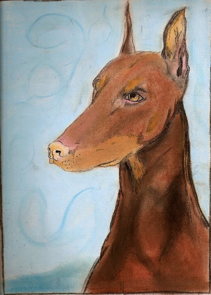doggie566