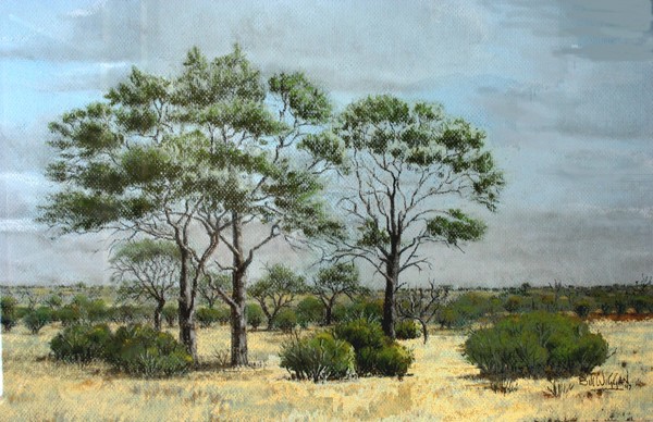 Pastel - Satara Area 2