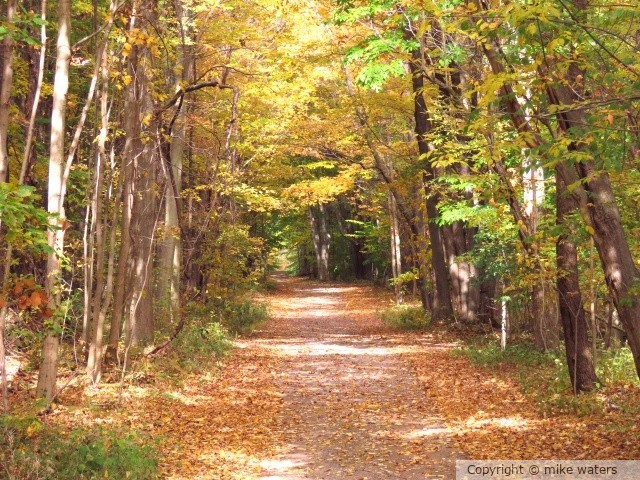 Nature trail