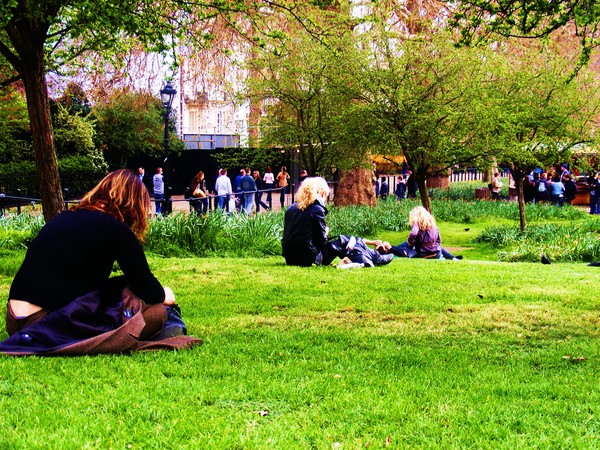 3 Unrelated Lunches