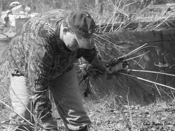 Clearing the Brush Series