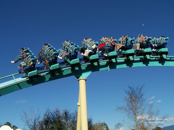 Ridin' High at Seaworld