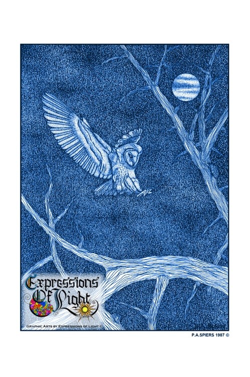 ExpoLight-Graphic-Arts-Moonlight-Owl-Flight-1987-0001 (Pen-&-Ink-Blue-Sepia-SP)