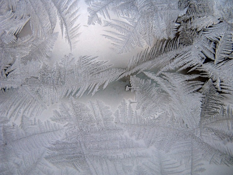 Frosted Pane