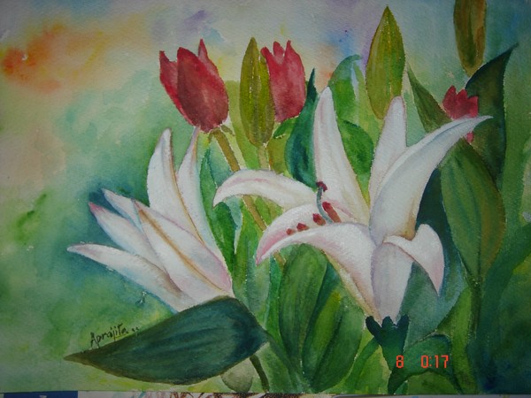 Lillies