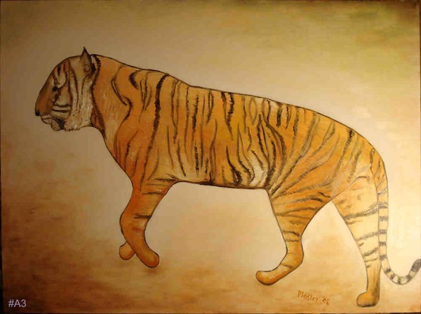 Mystic Tiger
