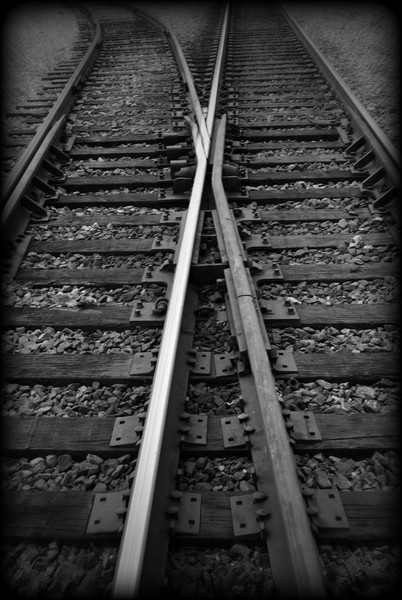 crossing paths