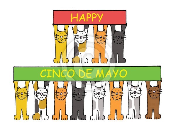Happy Cinco De Mayo