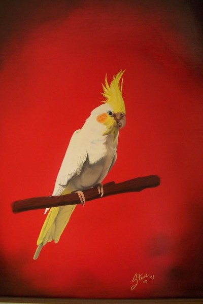 Bird