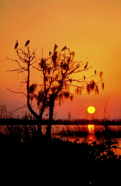 Sunset on Lake Okeechobee Southern FL.'08,JDS