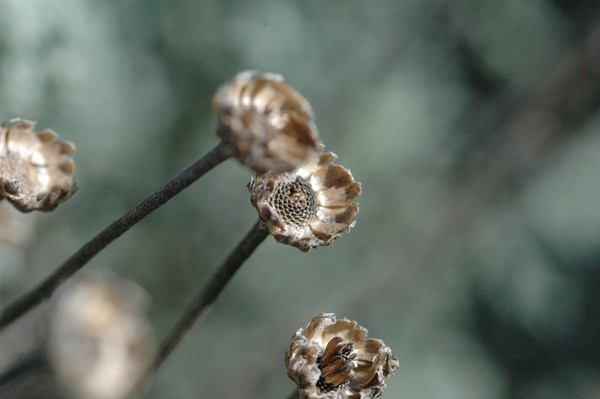 God's Small Gifts