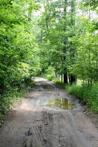 Path