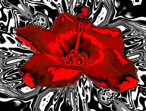 Fleur Rouge