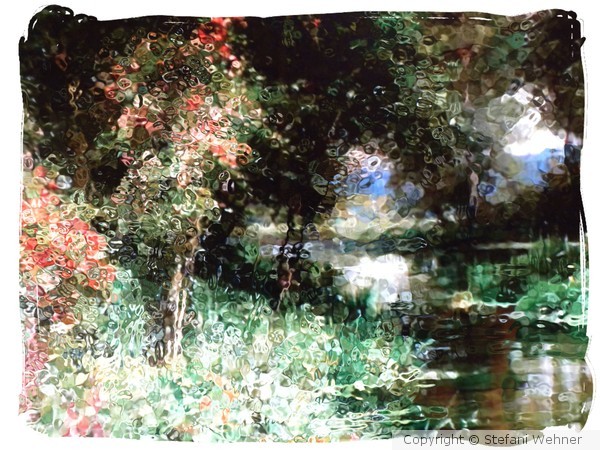 sunny day by the river