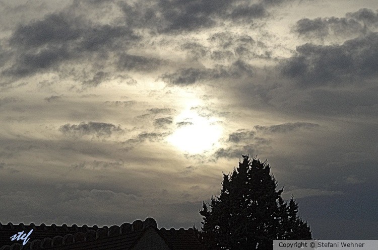 wintersky