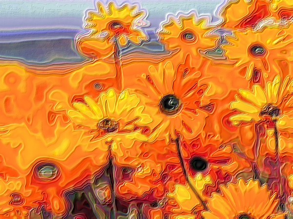 colors of summer