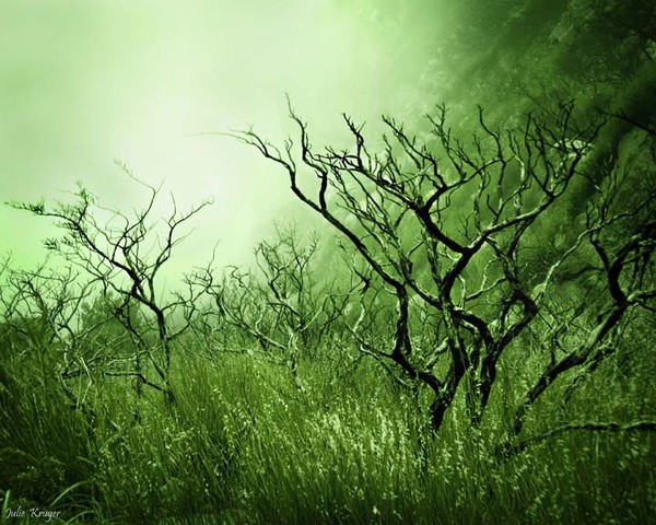 Mystic Mountain - Original Fine Art Print - Julie 