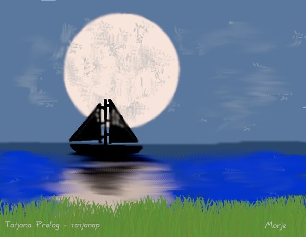 Sea in moonlight