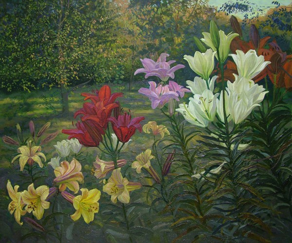 Lilies are in garden