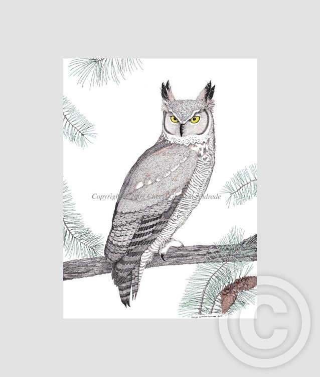 Great Horned Owl Pen and Ink Pointillism