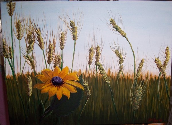 A Kansas Wheatfield