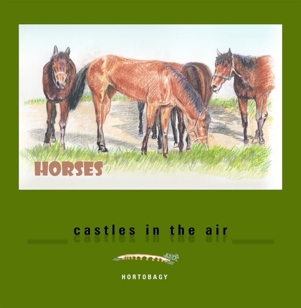 horse