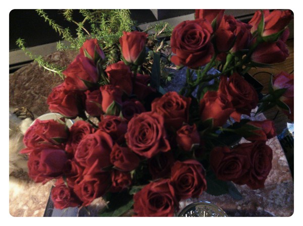 Christmas roses from joe