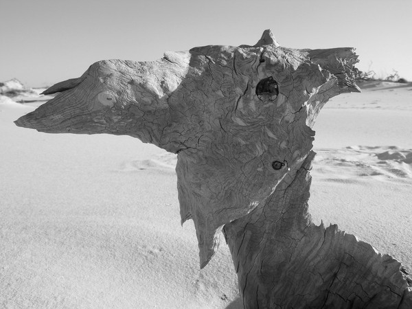 tree (animal shape)