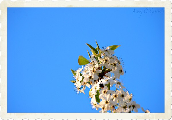 Reaching Up
