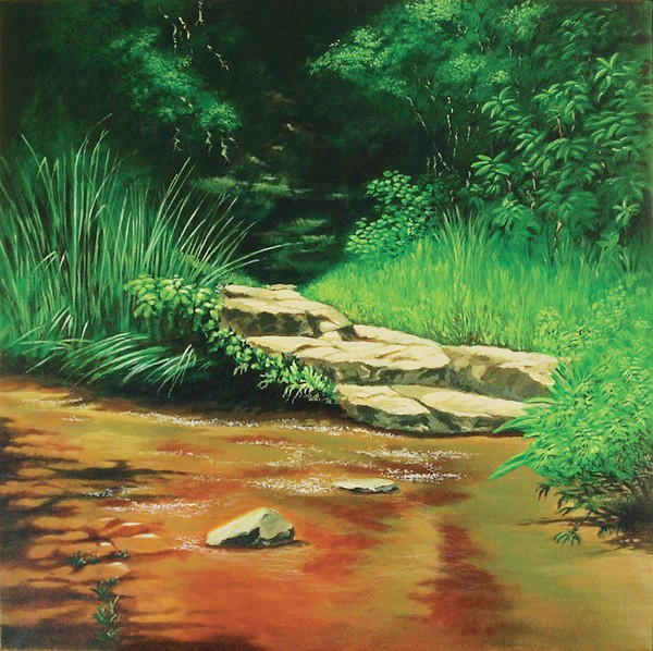 Forest Stream