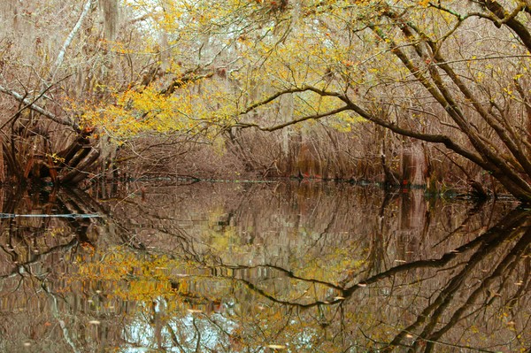 Yellow and Symmetric
