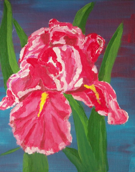 Red Iris 