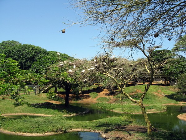 IMG 2725 resize
